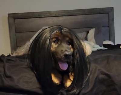 Instantly reminded me of Outcast with this wig. ððð¶ð¾ð¶