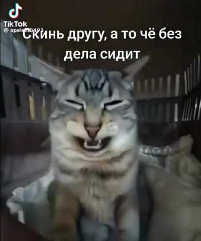 не ну чо по факту