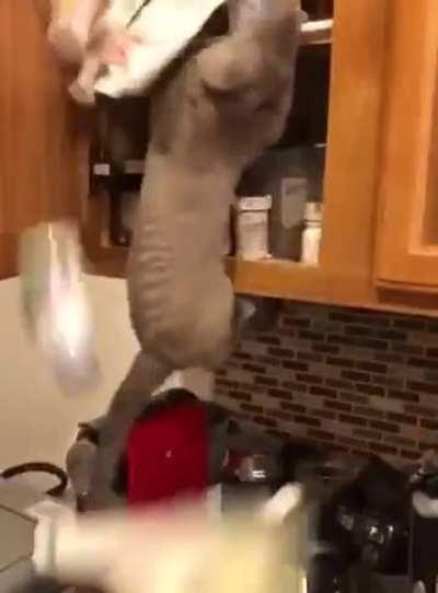 this asshole made a mess