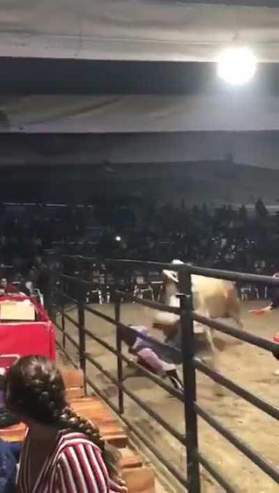 Brown Bull gives you wings