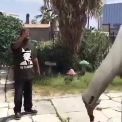 GTA V but its Kazuma Kiyru