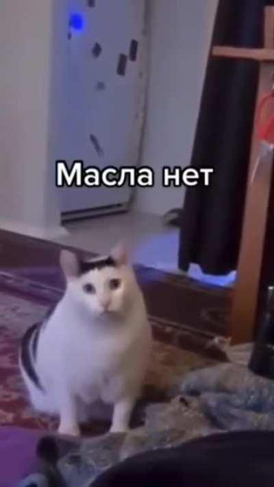 Чёрный бумер