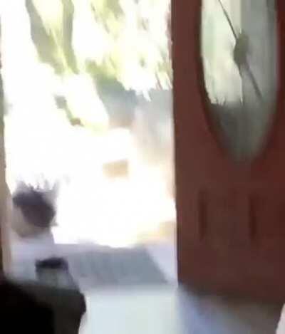 WCGW Scootering In The House?