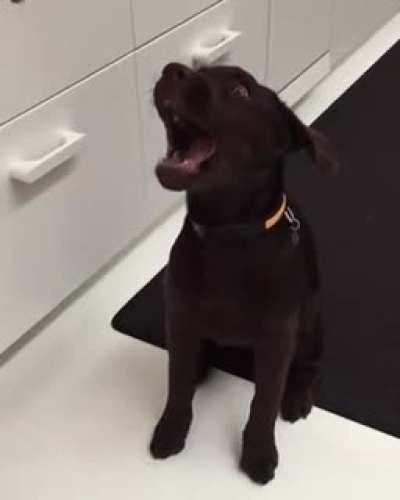 He’s still learning