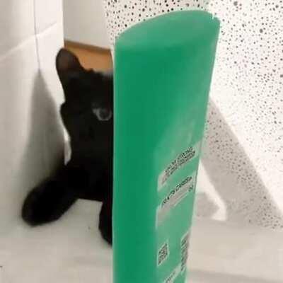 Get your shampoo out of my way!