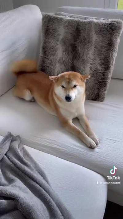 🥹🥹❤️❤️