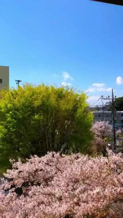 My desk at work is in front of this window and it's kinda hard to concentrate with this view.