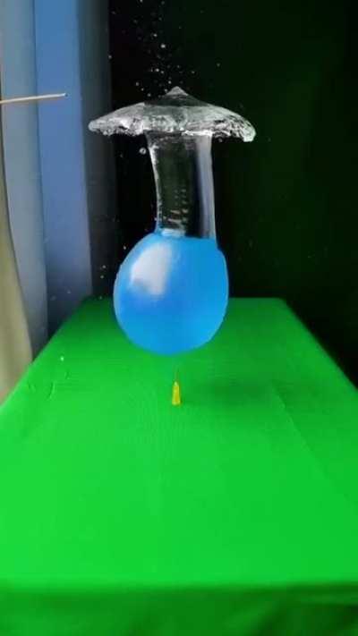 Water balloon into a Palm Tree