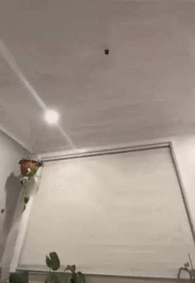 My hot wheels people need me