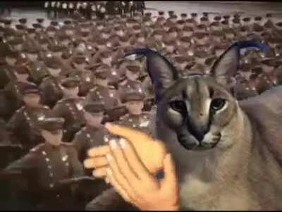 R/sounding Demokrtik republican