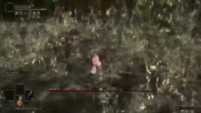 Radagon/Elden beast, true RL1 no hit - every base game boss is dead now!