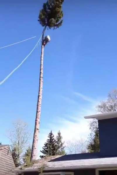 This. whatever this is called . . . it went right. . . or left. . . or down...I just know it worked but I don't know why it worked.