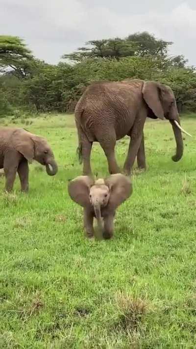 when he grows up and does this, he'll scare everyone