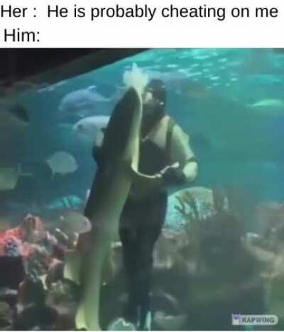 He's cheating with a shark