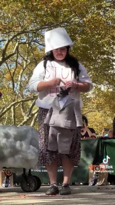 A dog's Halloween costume in New York from a TikTok video i've seen the other day (credit goes to @newyorknico)