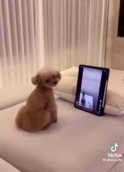 Oh hell no you don't!