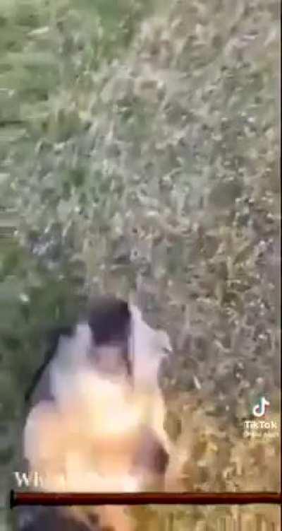 POV your a boss just chillin in your lair