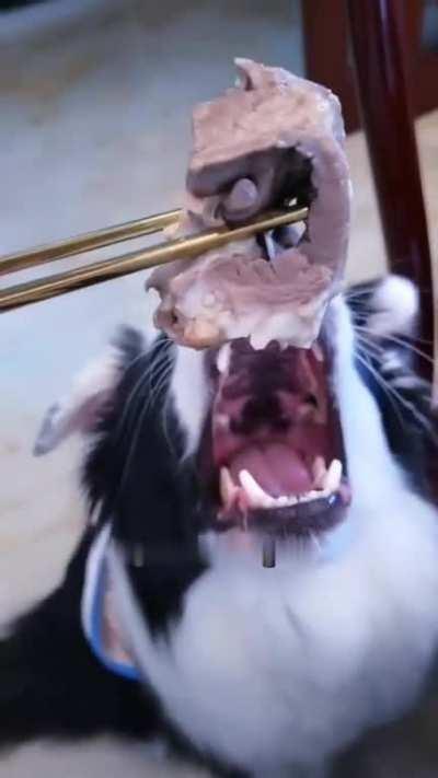 Tell me your dog loves savory meat treats without telling me your dog loves savory meat treats 😂