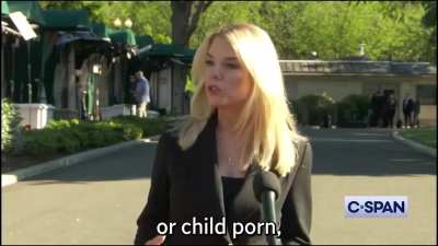 Covering for the felon