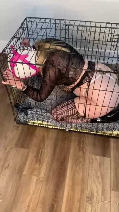 Taking all the pleasure I can get [f]