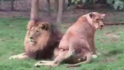 Trying to get a guy interested in you is a lot of work these days..