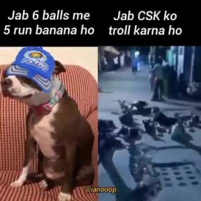 Mumbai Indians fans be like 