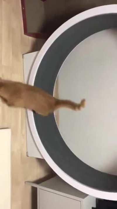 It’s just like me after 1 minute workouts lol