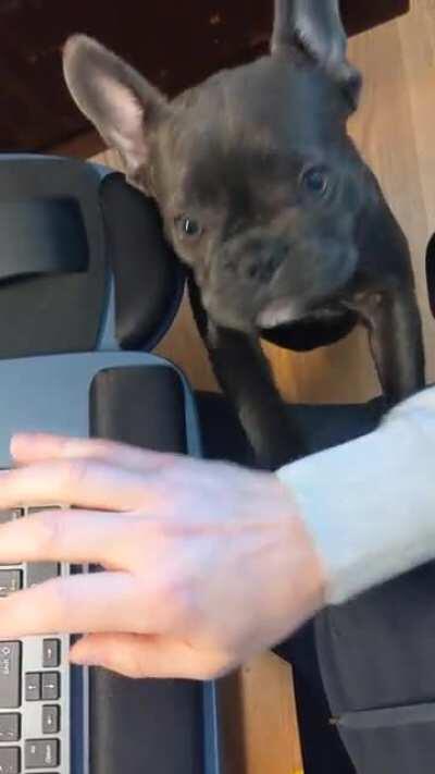 Monday through Friday 8am to 5pm