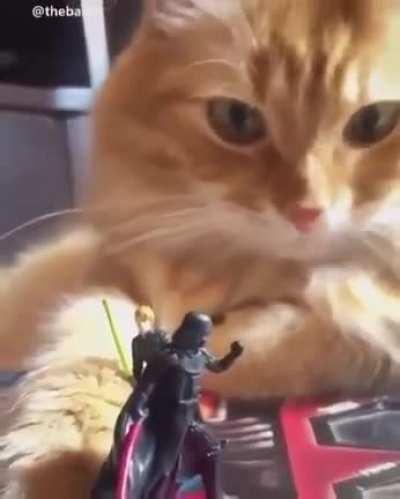 day 47 in quarantine