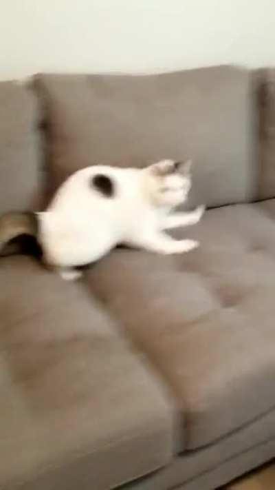 nobody scares me and gets away with it