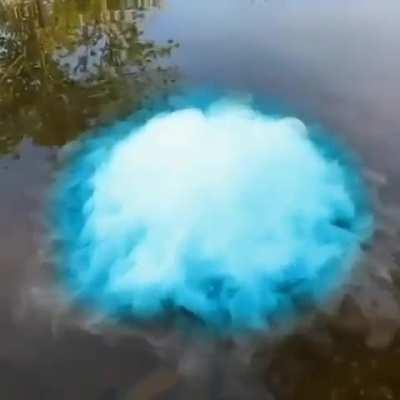 Really like the size