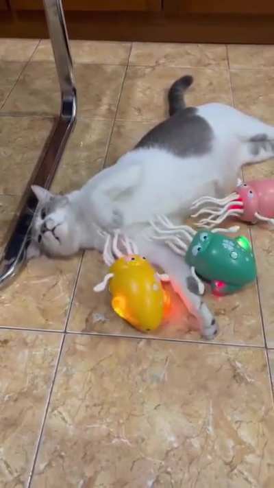 C@ overwhelmed by Bots