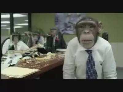 Burger shot prediction