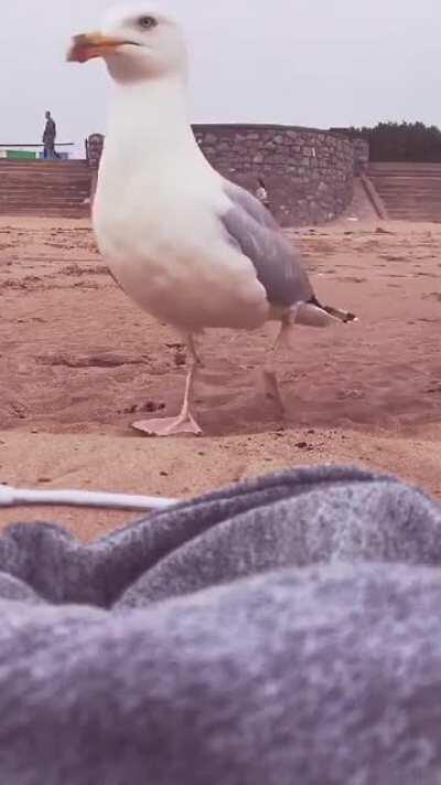 monkaJ Clap pegar emprestado