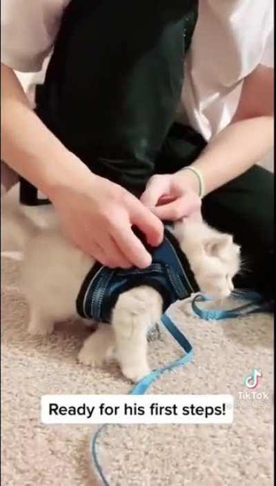 SicK hOomaN FITS deviCe tHaT inSTa KILLs