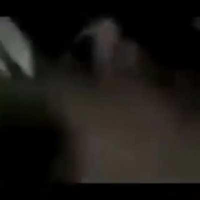 O verdadeiro guinomio