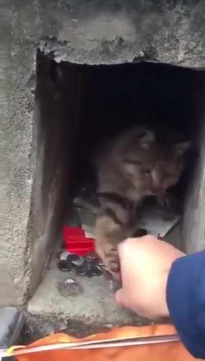 Bank does not give change!