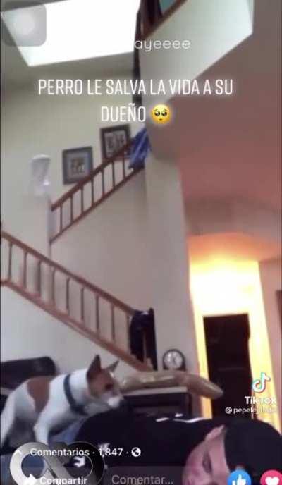 BeelcitosMemes - Video #0782