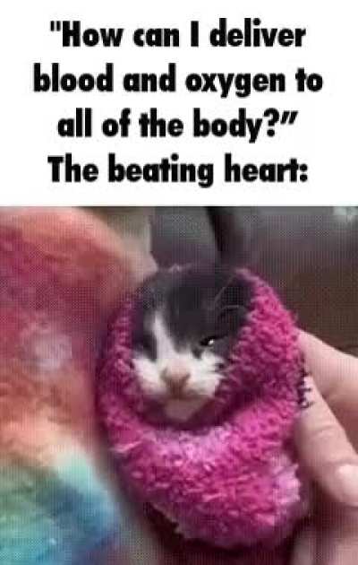 Yvv7qsv BADDAMBADDAMvud4vy93d8ycBADDAMBADDAMd3kb0i