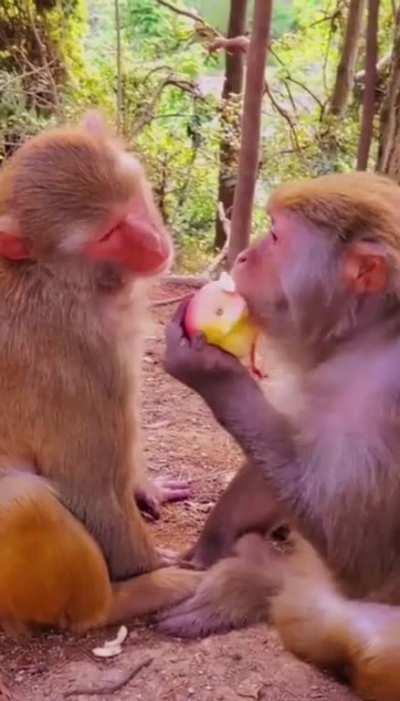 See my Apple? You can’t have it