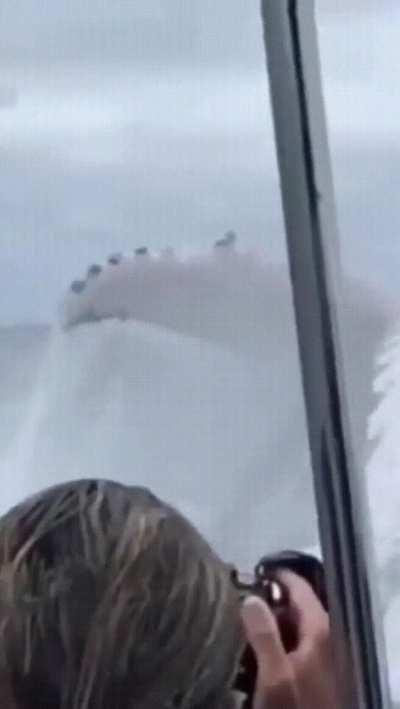 The size of a Humpback Whale! Absolute unit. Scary to think that a Blue Whale is almost double the size though!