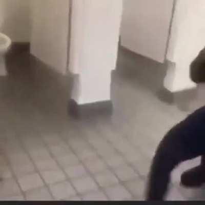 Another goofy ahh fight