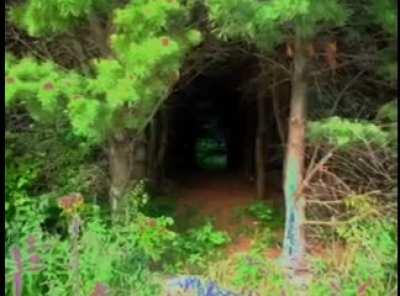 I was browsing discord and came across this song. I'm assuming this is slowed down. Any help would be appreciated as I have websites and they haven't given me anything.