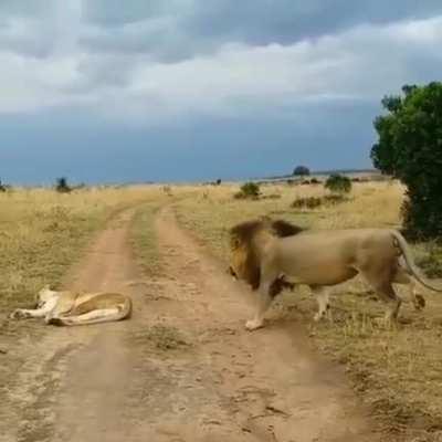 Trying to prank your girl like