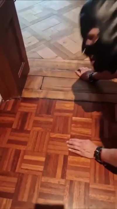 Pets have some rights too, like walking