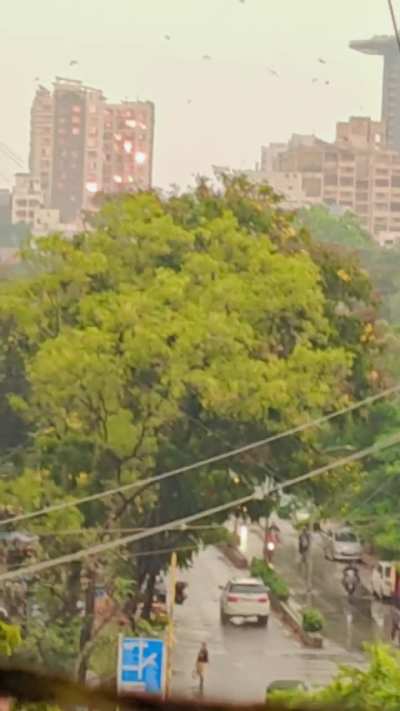 Saw this from my window balcony.