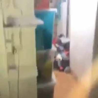 Thanks, I hate termite house.