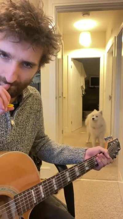 Someone does not like Nickleback.