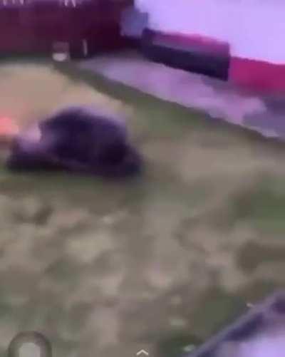 na the way he folded his legs is done