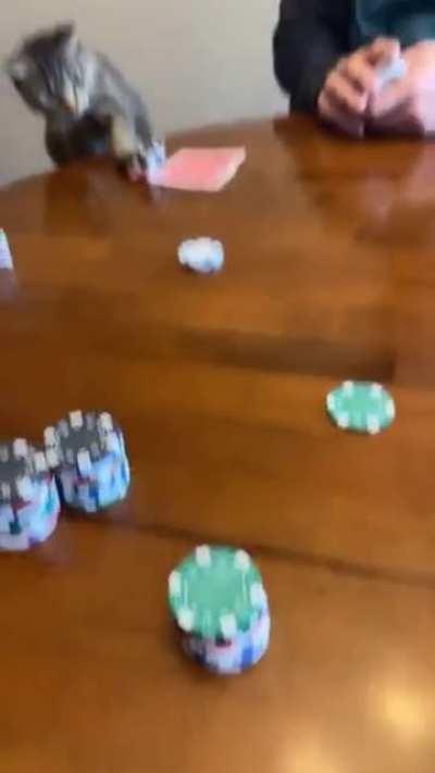 Steve Cohen at the winter meetings: